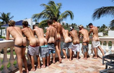 Reno Gold – Kiss Or Strip Feat. Romeo Twink, Leo Stuke, Mo, Marc Rose, Valentin, Carlos Effort, Mario Adrion And Jeff Kasser