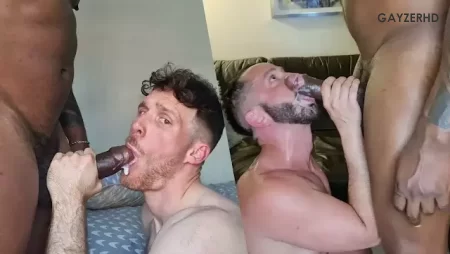 All Cummers Welcome – Amadeus Cumpilation